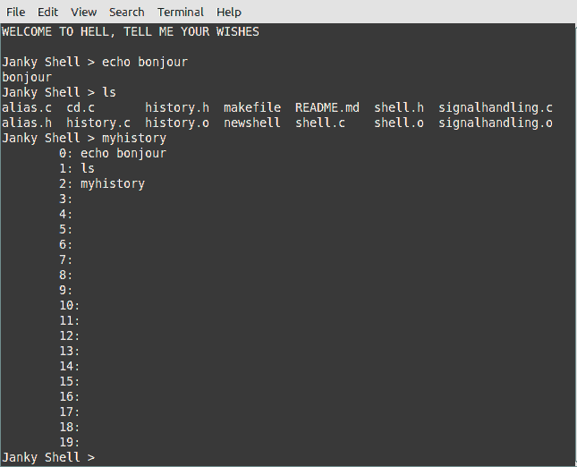 A terminal, titled Janky Shell, asking you to tell it your wishes.
