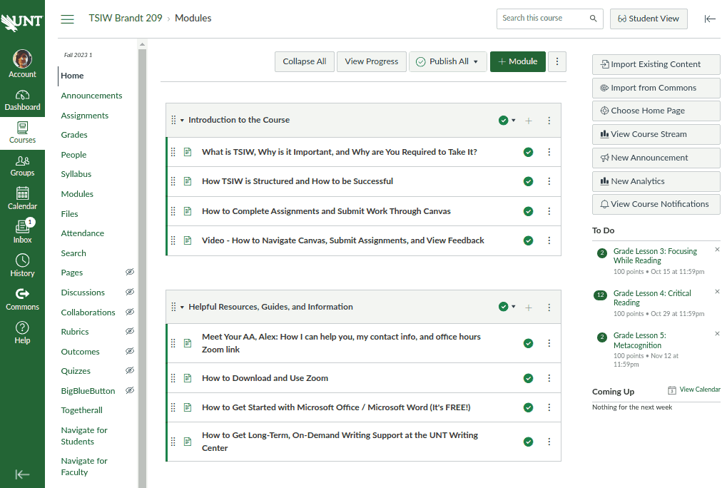 A page within Canvas LMS that shows modules containing links to informational pages.